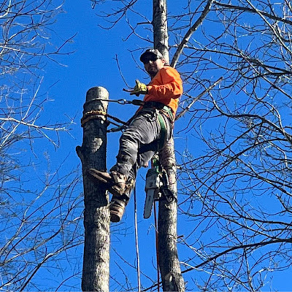 Meet your Posher, Brian - Picture 1 of 1